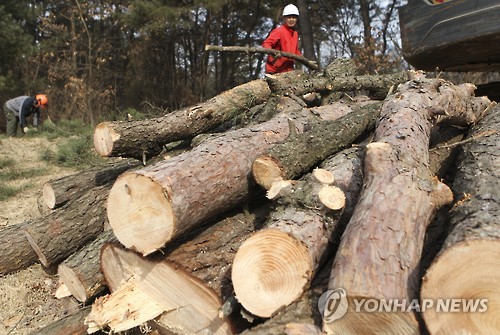 << 연합뉴스 자료사진 >>