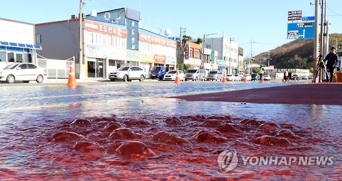 역류하는 바닷물