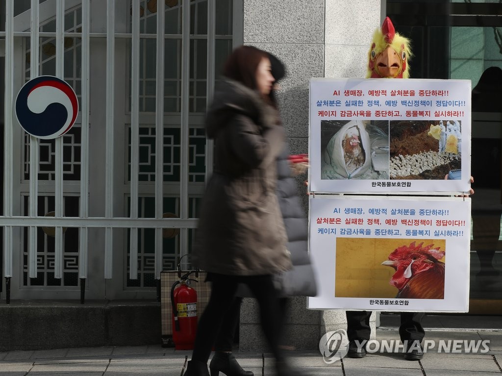 한국동물보호연합 'AI 근본적 대책 마련하라'