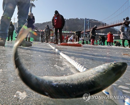 화천산천어축제 메인 얼음낚시