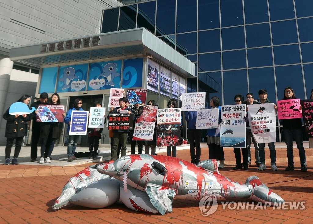 '돌고래 추가 수입 반대' 기자회견