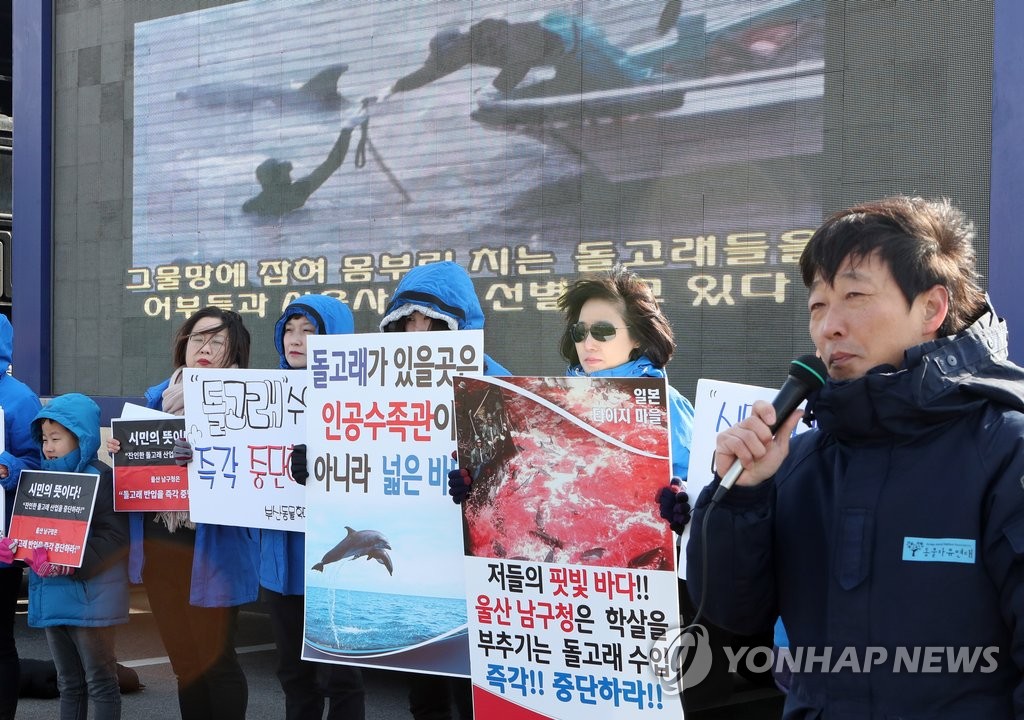 "돌고래 수입 중단하라"