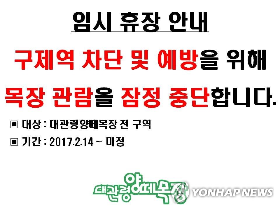 구제역 탓에 대관령 양떼목장 임시 휴장