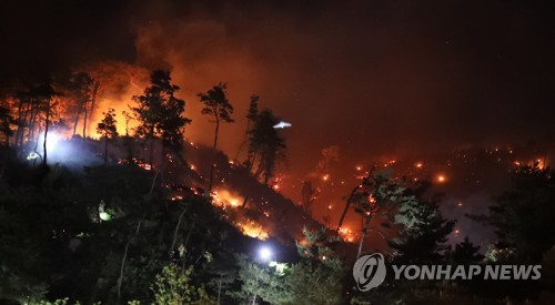 강풍에 되살아 난 강릉 산불