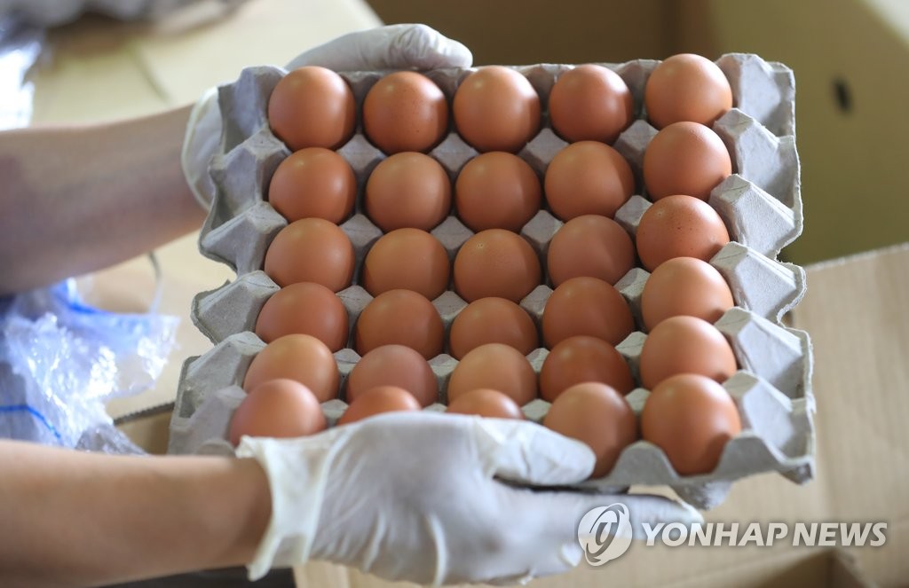 태국산 계란 검역 샘플 도착 [연합뉴스 자료사진]