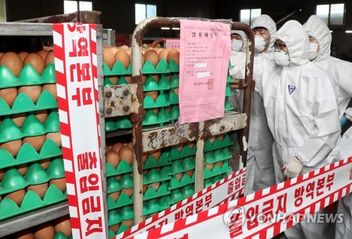 살충제 검출된 농장 계란 압류조치