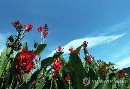 늦더위 주춤 벌써 초가을…전국 유원지·산 '북적' - 1