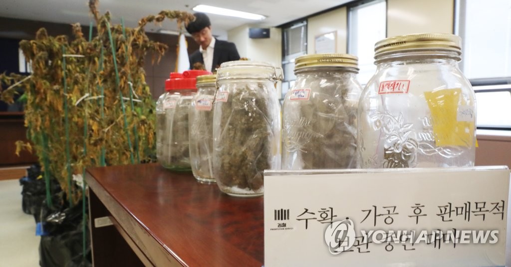도심서 대마 키워 비트코인으로 판매한 일당 덜미