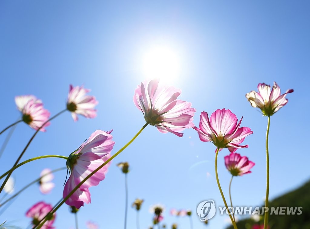 가을하늘