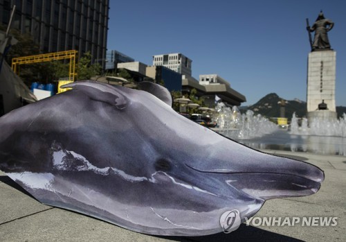 고래고기 유통 금지 촉구 기자회견