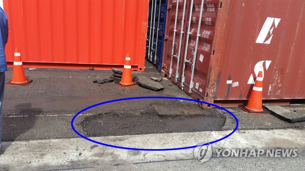 붉은 독개미집 발견된 컨테이너 야적장