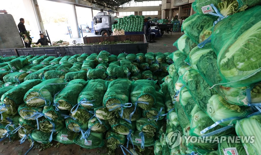 (인천=연합뉴스) 한상균 기자 = 지난 15일 오후 인천 삼산농수산물센터에서 상인들이 배추를 옮기고 있다. xyz@yna.co.kr