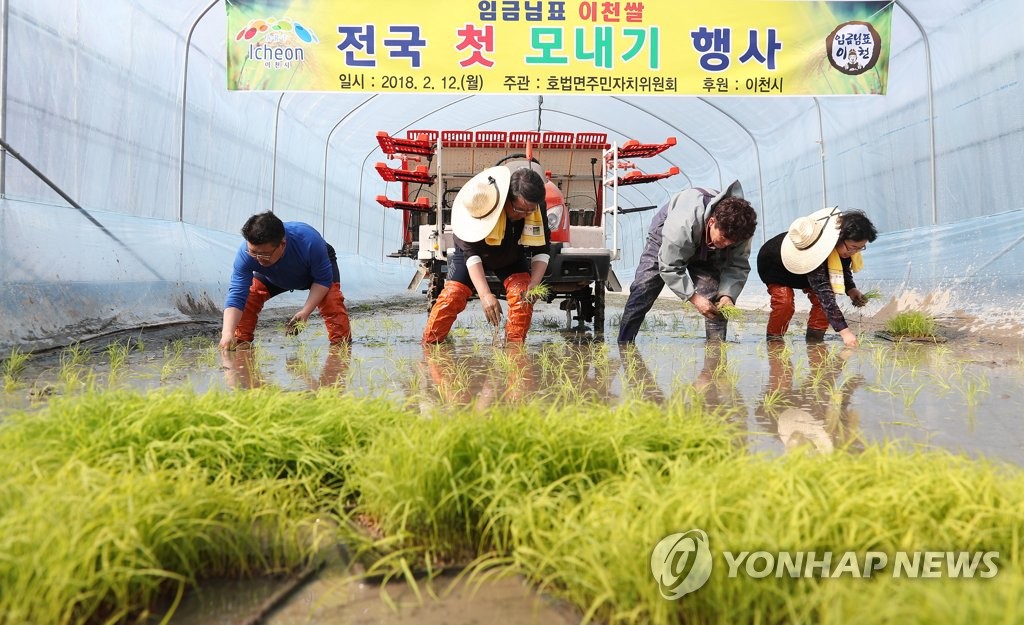엄동설한에 모내기