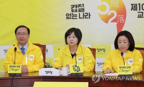 발언하는 이정미 대표