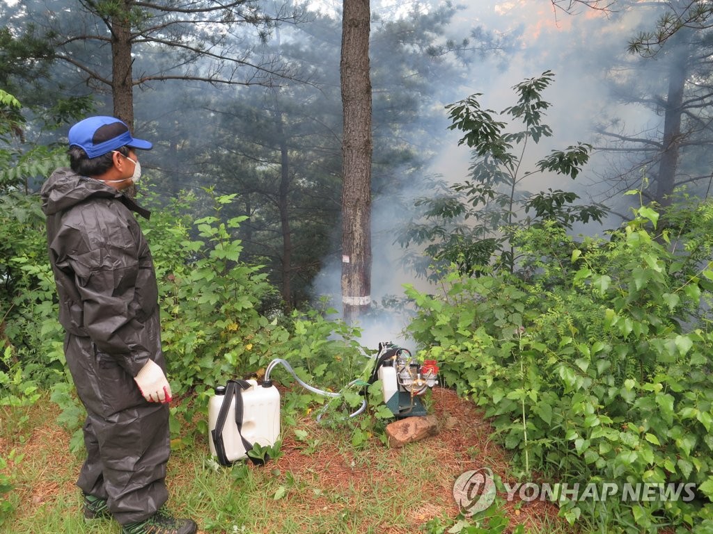 소나무 재선충병 확산을 막아라