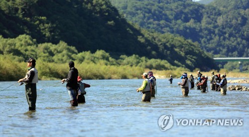 "쏘가리를 잡아라"