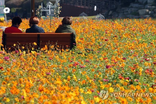 가을의 추억 만들기