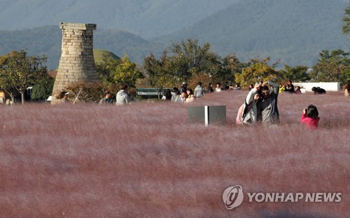 첨성대와 핑크뮬리