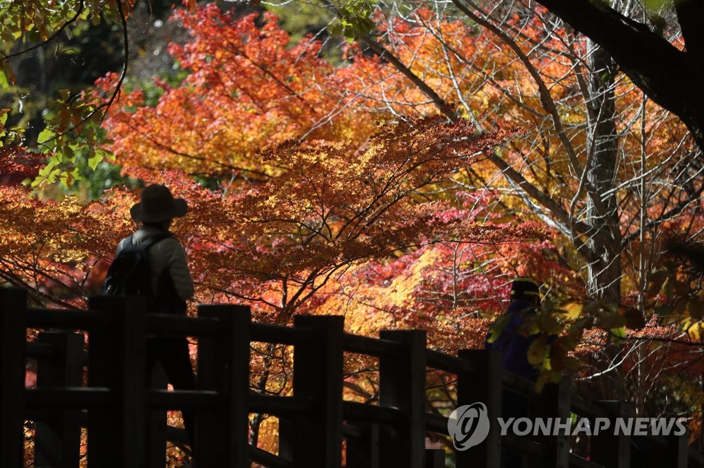 만추