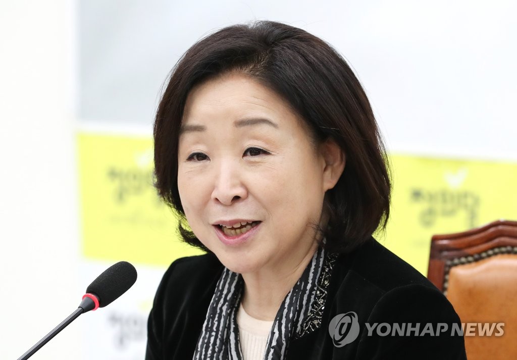 심상정 '정개특위 첫 기자간담회'