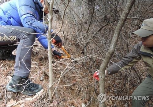 야생동물 밀렵·밀거래 집중단속