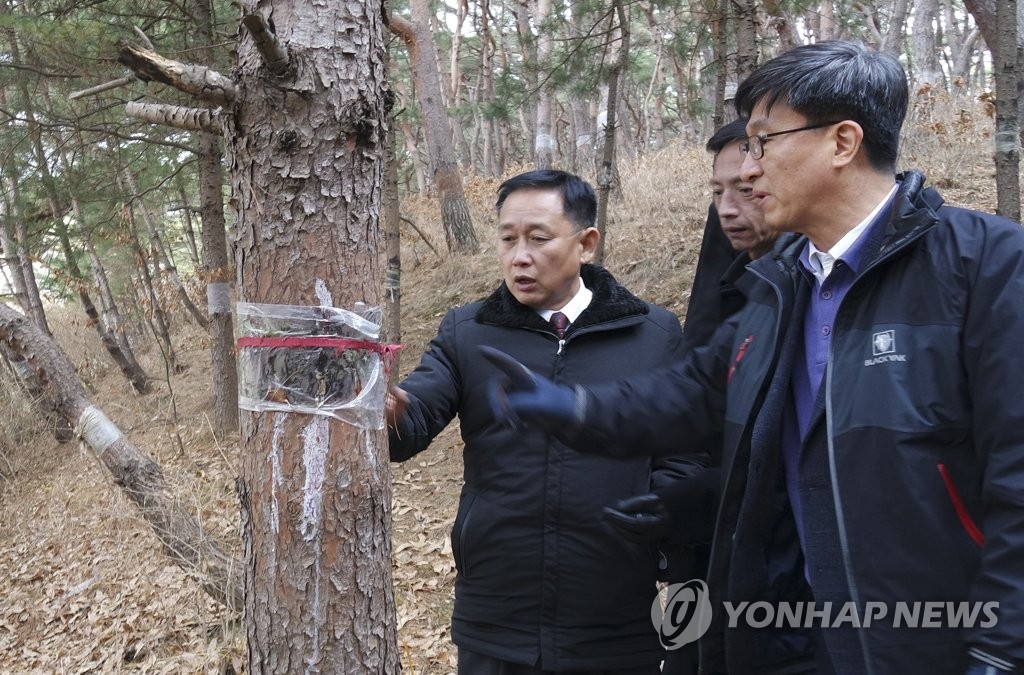 南北山林協力 北で害虫防除作業 南北山林協力 北で害虫防除作業