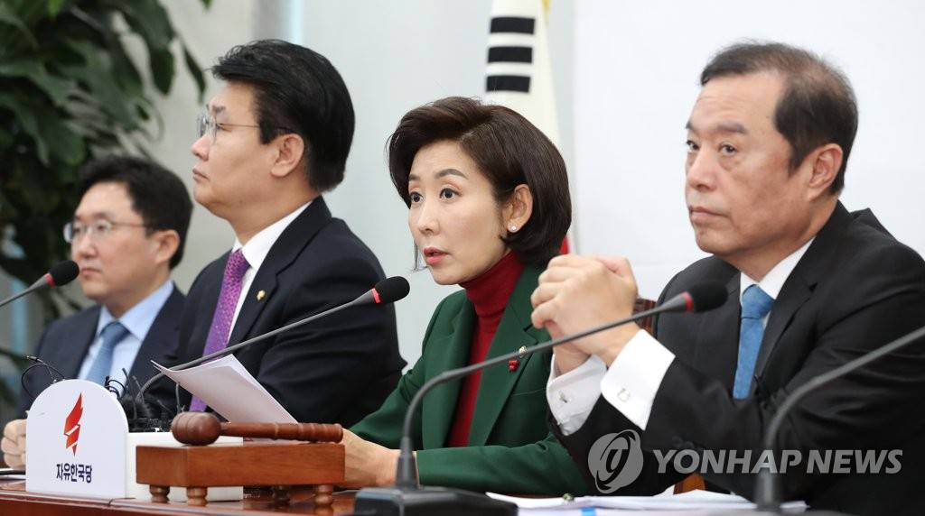 비대위에서 발언하는 나경원