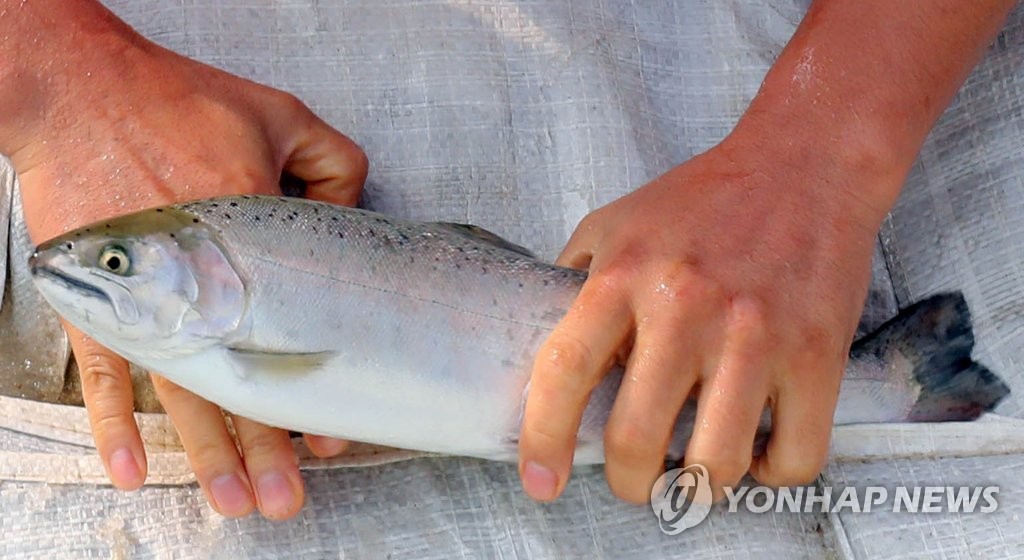 맨손으로 잡은 산천어
