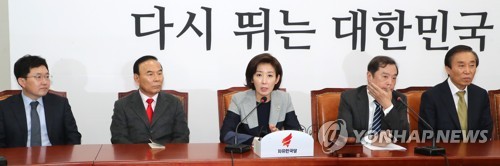 비대위에서 발언하는 나경원