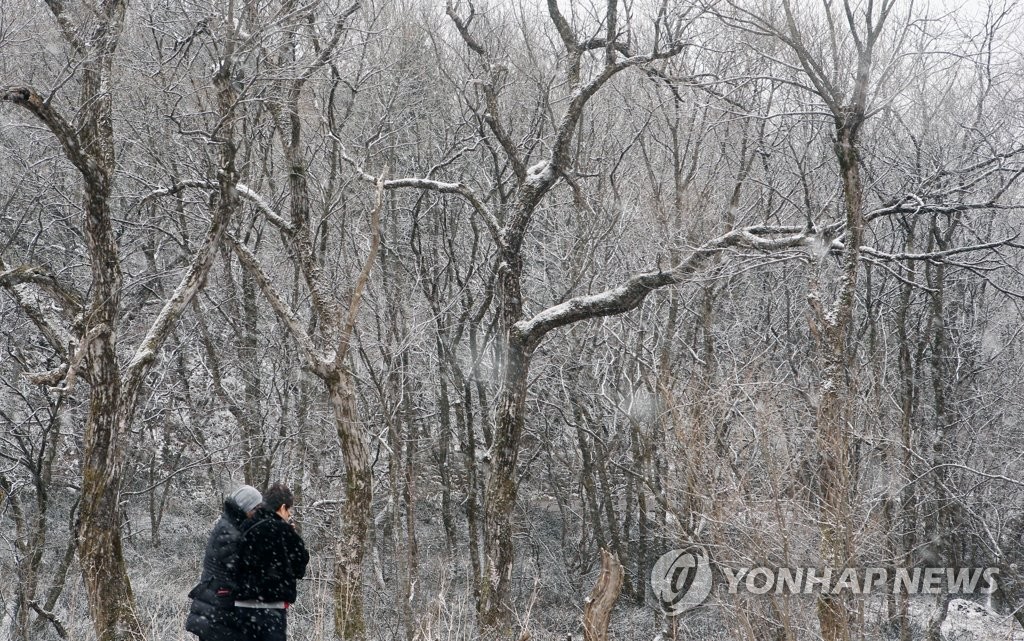 3월에 내리는 눈