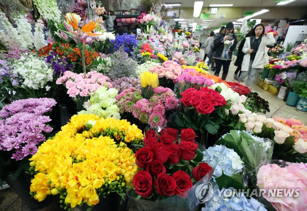 봄을 맞이하라