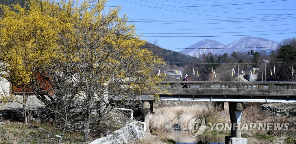 봄과 겨울