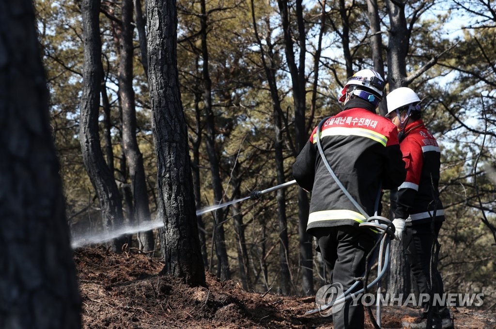 잔불 제거 나선 산불특수진화대