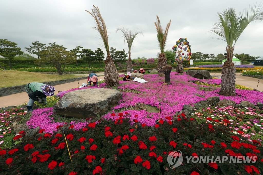 Hampyeong butterfly fest Hampyeong butterfly fest