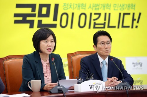 모두발언하는 이정미 대표