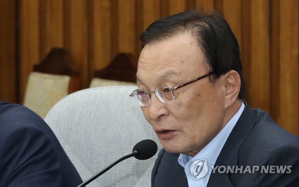 발언하는 이해찬 대표