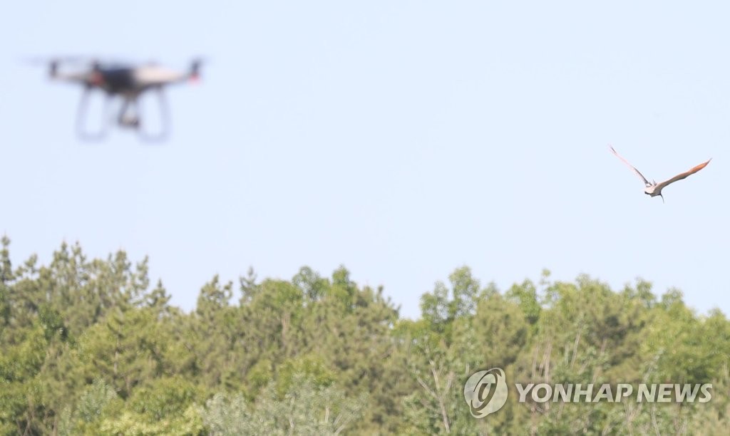 따오기 나는 데 드론?