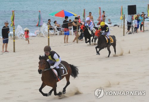 백사장 달리는 제주마