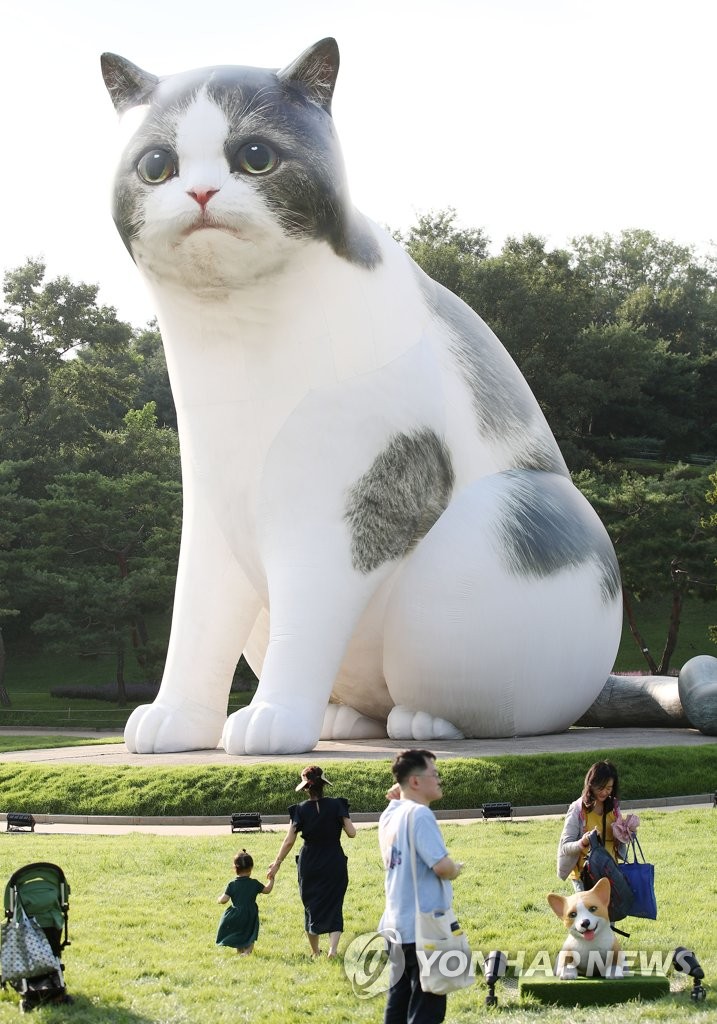 올림픽공원 큰 고양이 '커도 너무 커'