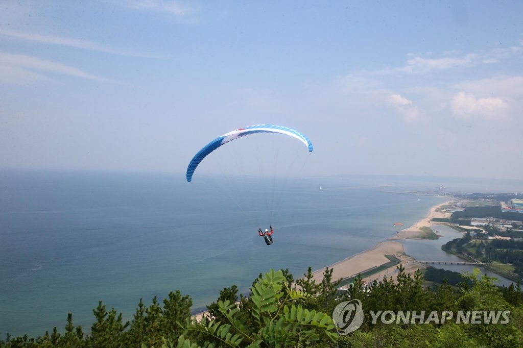 바다 위를 날다