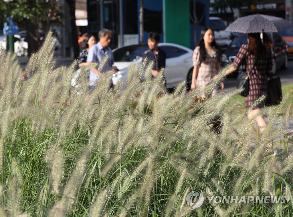 선선한 출근길