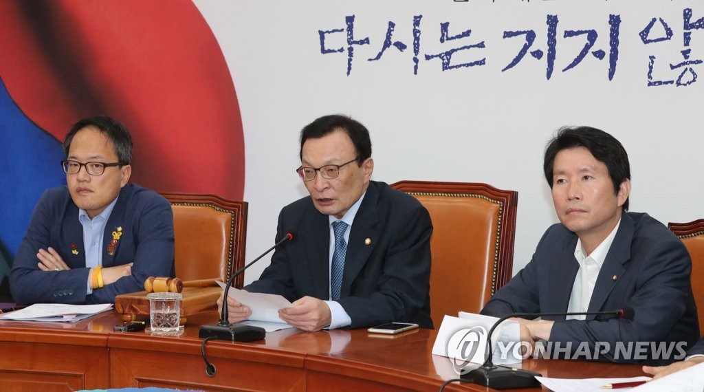 발언하는 이해찬 대표
