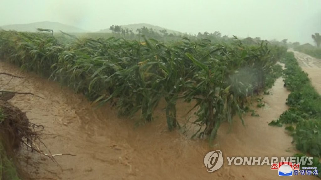 지난해 제13호 태풍 '링링' 피해를 본 북한