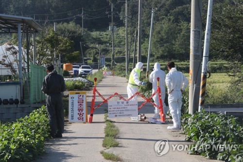 파주에서 국내 첫 아프리카돼지열병 발생