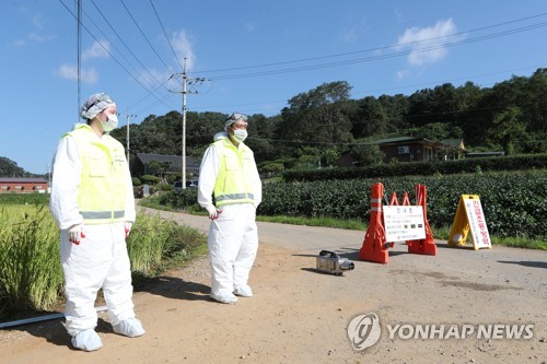 파주에 이어 연천에도 ASF 발생