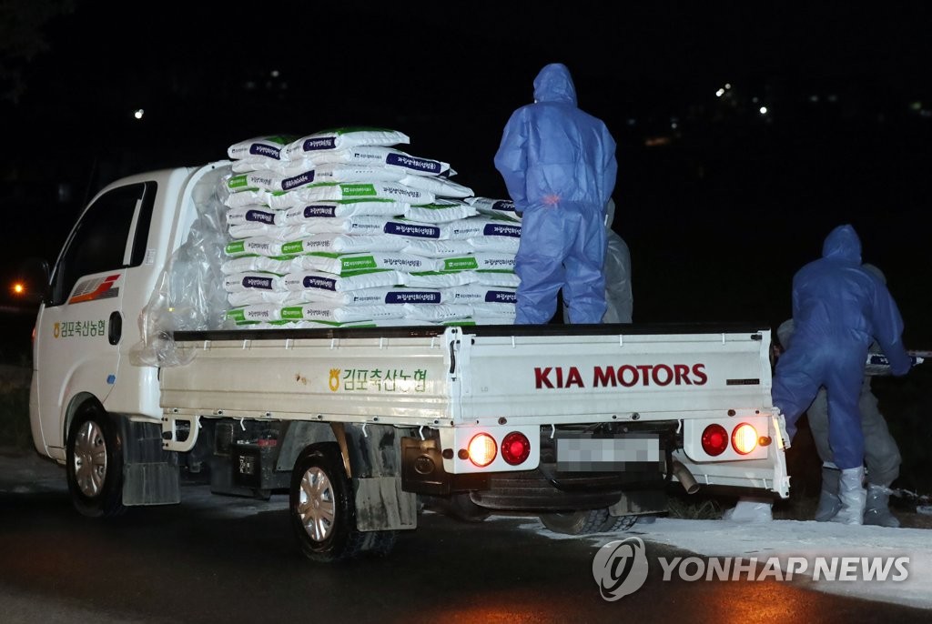생석회 옮기는 방역당국 관계자들