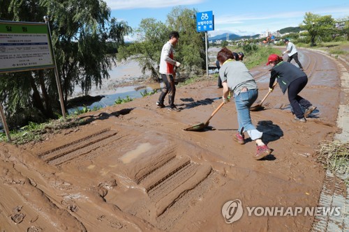 울산 태풍 복구 안간힘