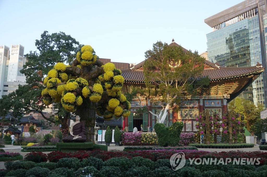 국화정원 조계사