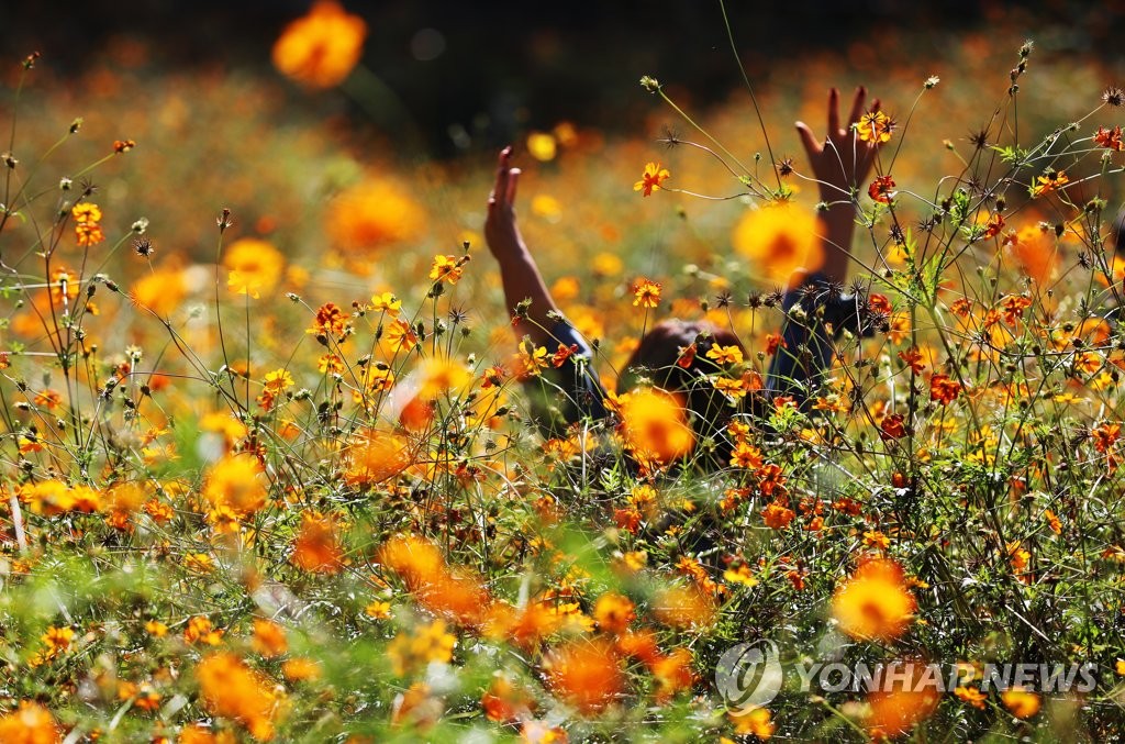 가을만발