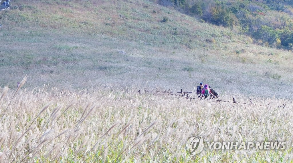 억새 핀 영남알프스 간월재